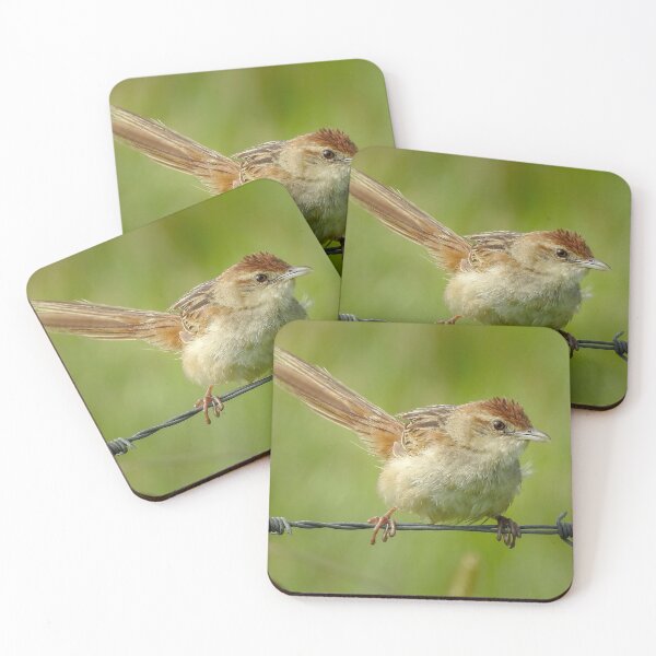Item preview, Tawny Grassbird designed and sold by CathsImages.