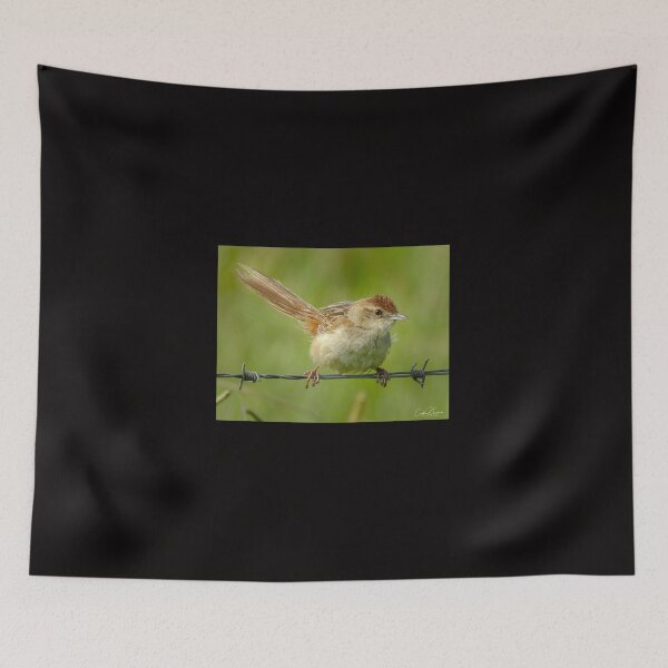 Item preview, Tawny Grassbird designed and sold by CathsImages.