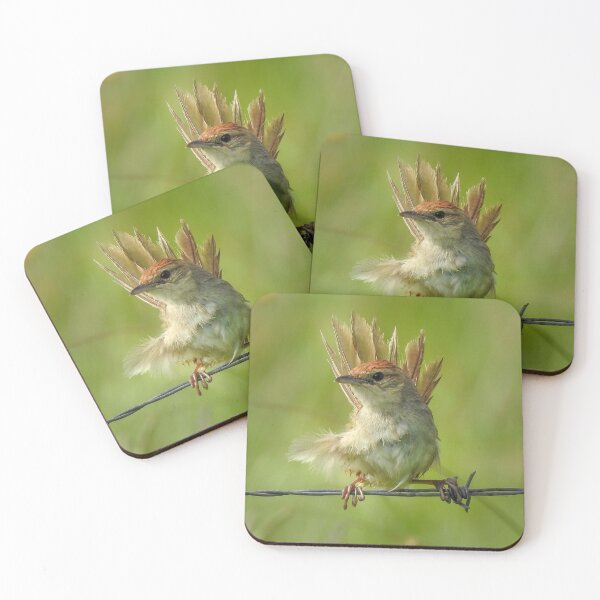 Item preview, Tawny Grassbird designed and sold by CathsImages.