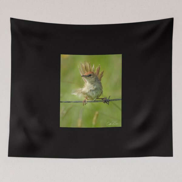 Item preview, Tawny Grassbird designed and sold by CathsImages.