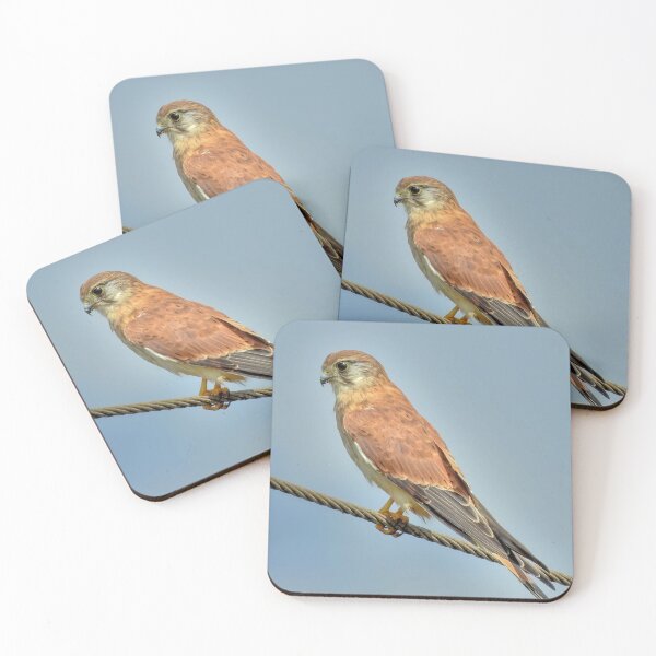 Item preview, Nankeen Kestral designed and sold by CathsImages.