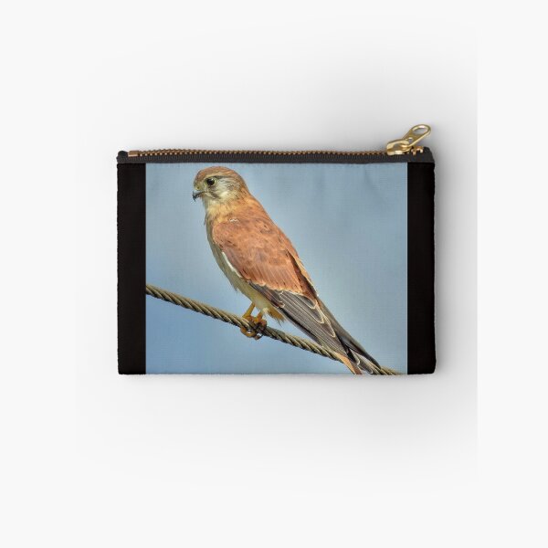 Item preview, Nankeen Kestral designed and sold by CathsImages.
