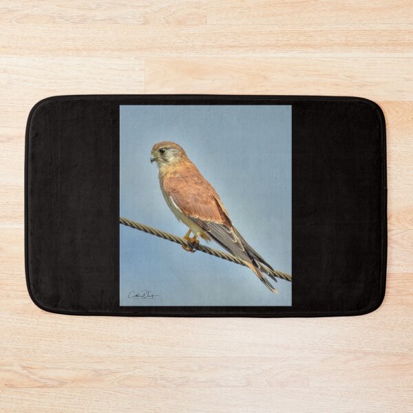 Item preview, Nankeen Kestral designed and sold by CathsImages.