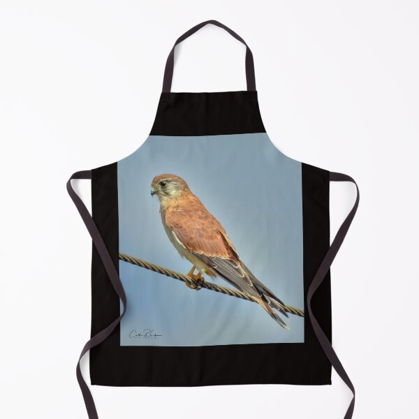 Item preview, Nankeen Kestral designed and sold by CathsImages.