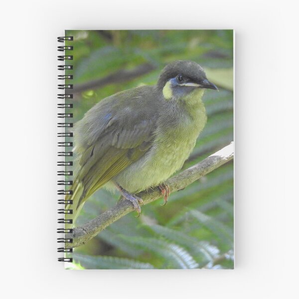 Item preview, Lewin's Honeyeater designed and sold by CathsImages.