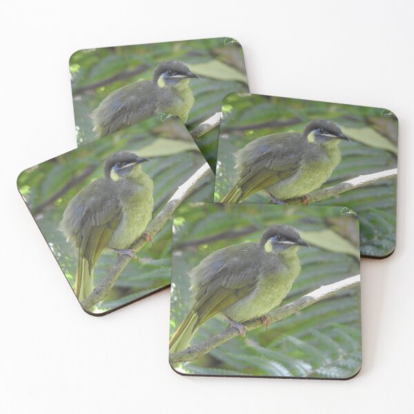 Item preview, Lewin's Honeyeater designed and sold by CathsImages.