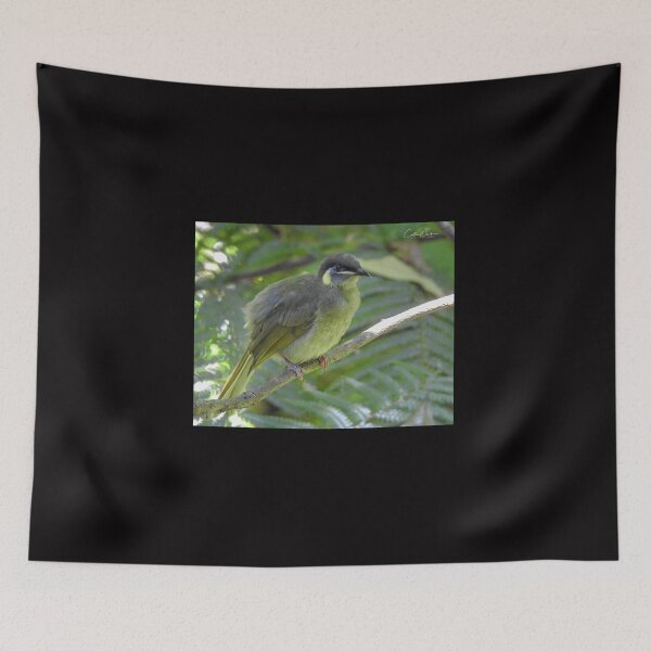 Item preview, Lewin's Honeyeater designed and sold by CathsImages.