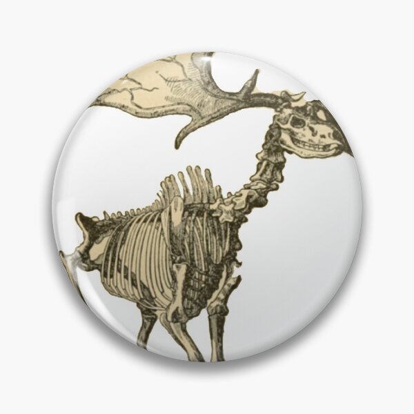 Item preview, Skeleton  designed and sold by Kliethermes28.