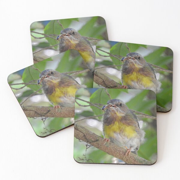Item preview, Eastern Yellow Robin designed and sold by CathsImages.