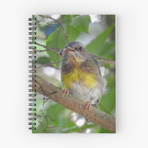 Item preview, Eastern Yellow Robin designed and sold by CathsImages.