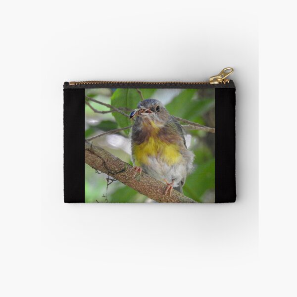 Item preview, Eastern Yellow Robin designed and sold by CathsImages.