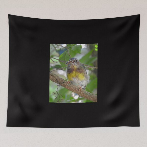 Item preview, Eastern Yellow Robin designed and sold by CathsImages.