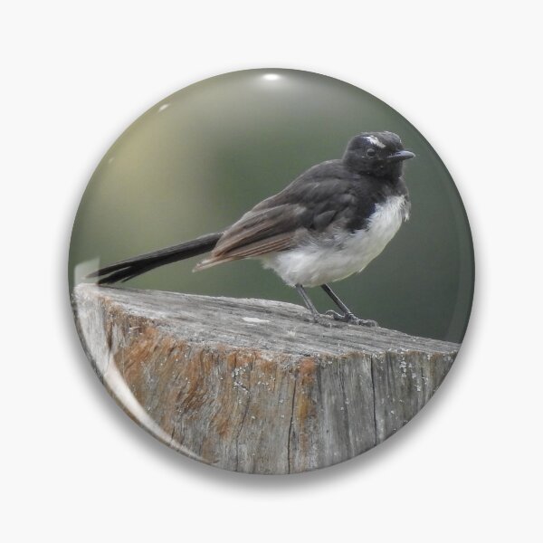 Item preview, Willy Wagtail designed and sold by CathsImages.