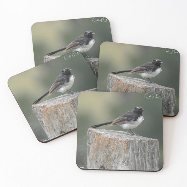 Item preview, Willy Wagtail designed and sold by CathsImages.