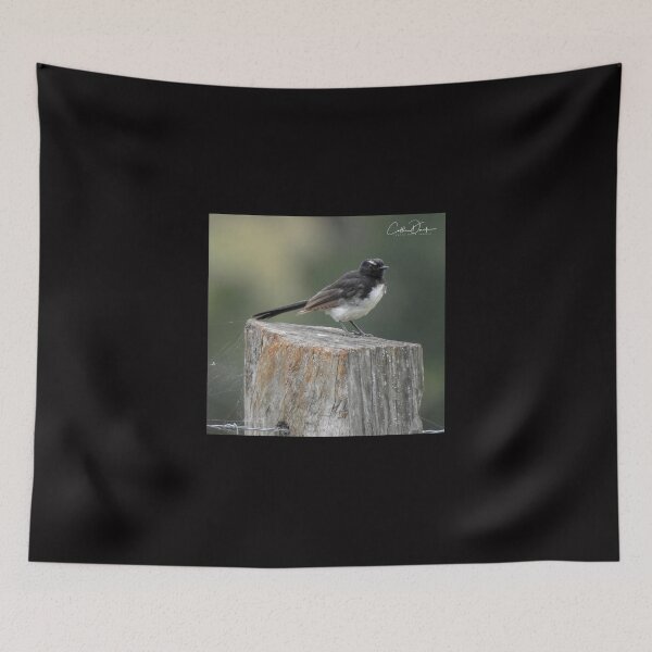 Item preview, Willy Wagtail designed and sold by CathsImages.