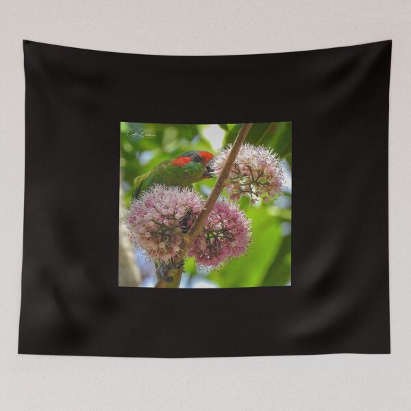 Item preview, Musk Lorikeet designed and sold by CathsImages.