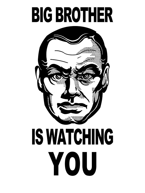 Big brother is watching you что это