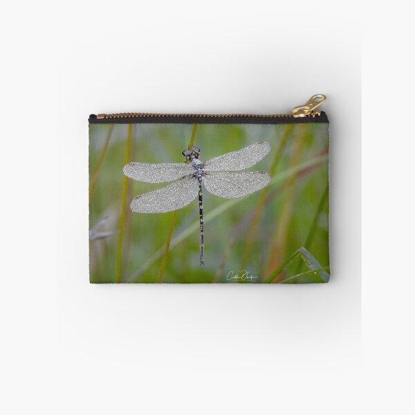 Item preview, Diamond Wings Dragonfly designed and sold by CathsImages.