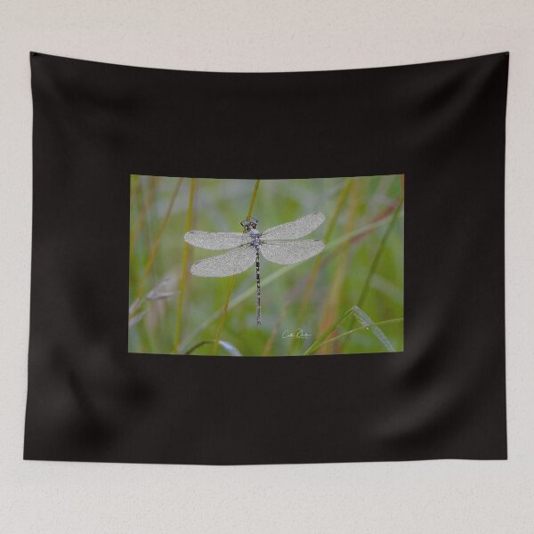 Item preview, Diamond Wings Dragonfly designed and sold by CathsImages.