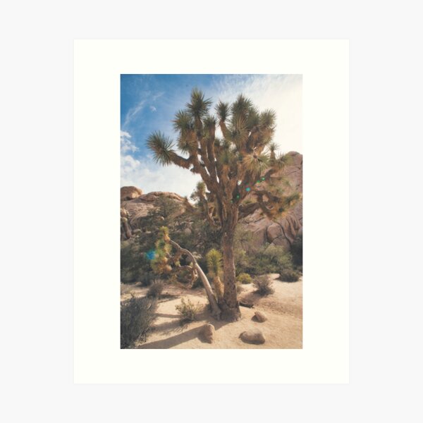 Item preview, Joshua Tree at Golden Hour designed and sold by BAYSTALT.