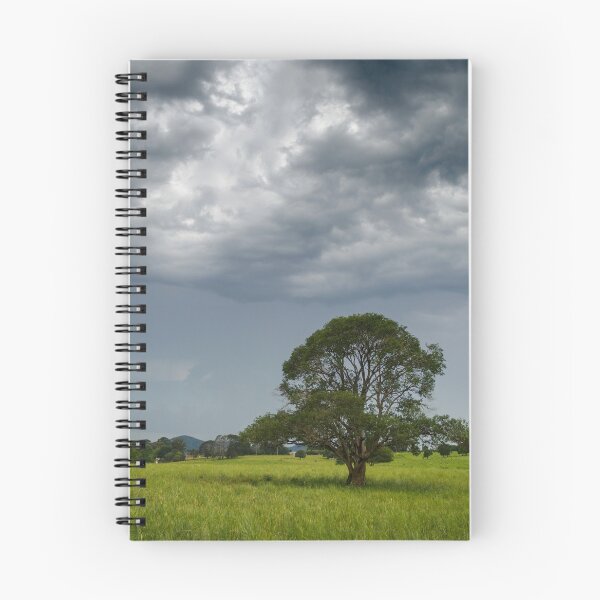 Item preview, Stormy Afternoon designed and sold by CathsImages.