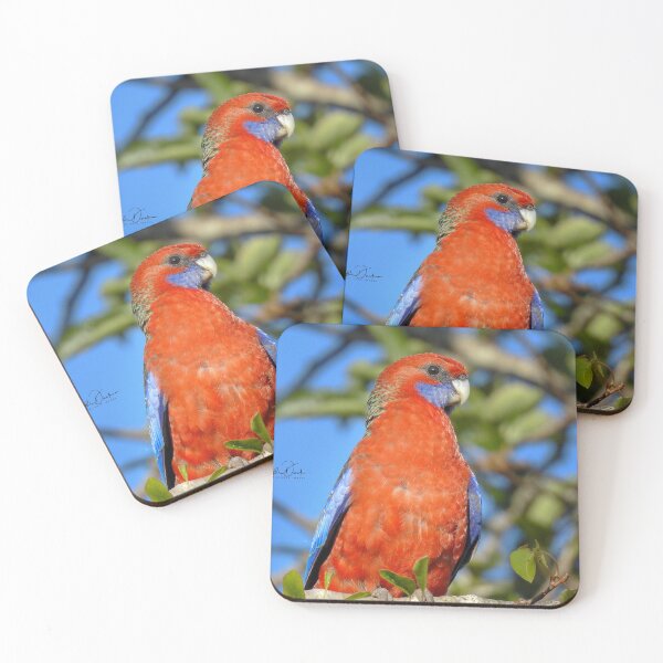 Item preview, Crimson Rosella designed and sold by CathsImages.