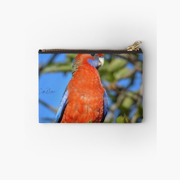 Item preview, Crimson Rosella designed and sold by CathsImages.