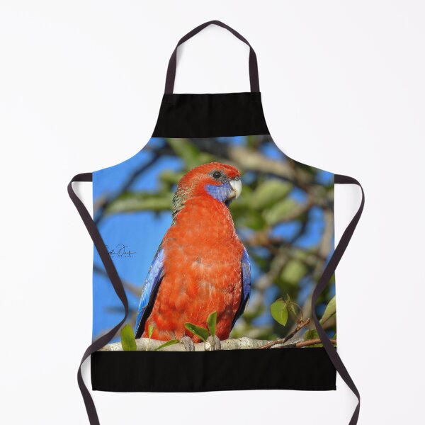 Item preview, Crimson Rosella designed and sold by CathsImages.