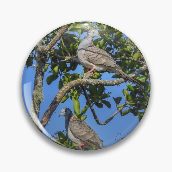 Item preview, Bar Shoulder Pigeons designed and sold by CathsImages.