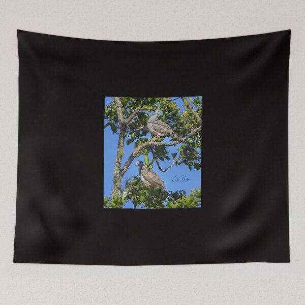 Item preview, Bar Shoulder Pigeons designed and sold by CathsImages.