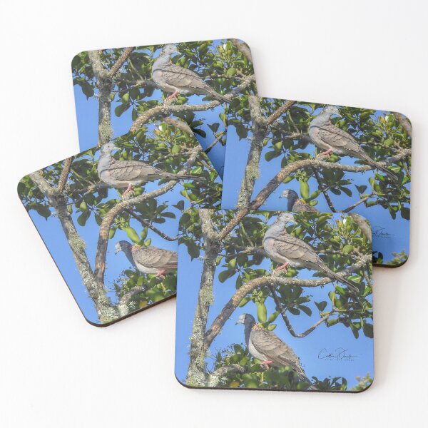 Item preview, Bar Shoulder Pigeons designed and sold by CathsImages.