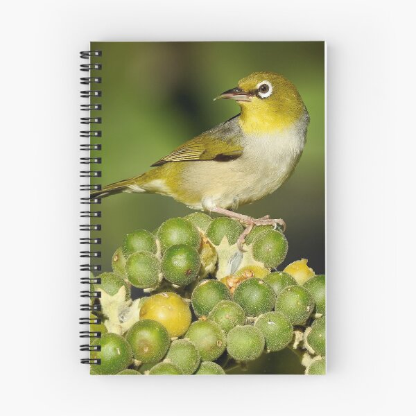 Item preview, Cheeky Silvereye designed and sold by CathsImages.