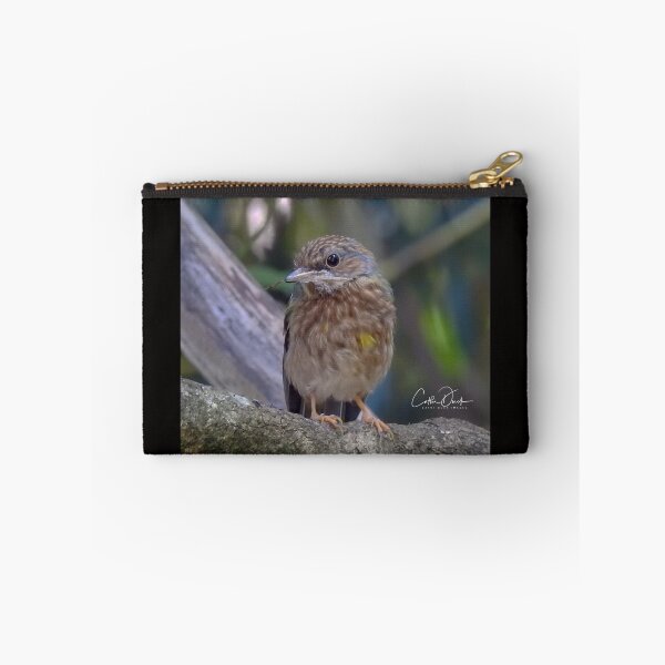 Item preview, Juv. Eastern Yellow Robin designed and sold by CathsImages.