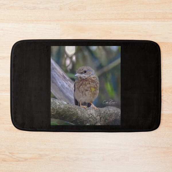 Item preview, Juv. Eastern Yellow Robin designed and sold by CathsImages.