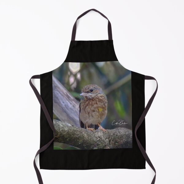 Item preview, Juv. Eastern Yellow Robin designed and sold by CathsImages.