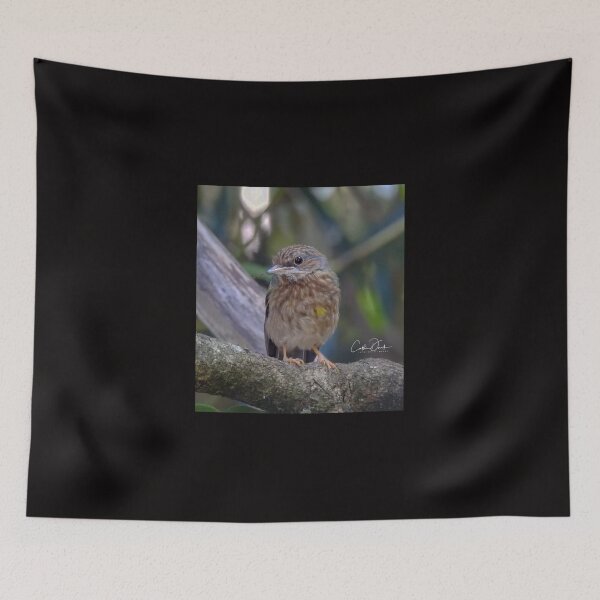 Item preview, Juv. Eastern Yellow Robin designed and sold by CathsImages.