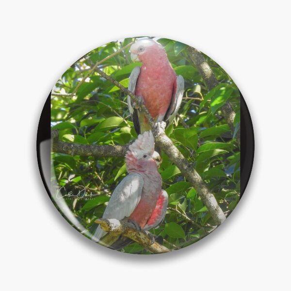 Item preview, Double Trouble Galahs designed and sold by CathsImages.