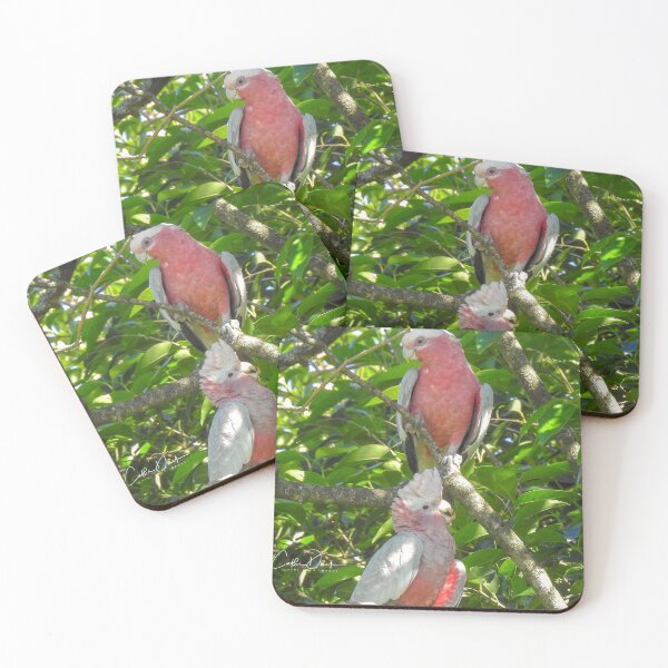Item preview, Double Trouble Galahs designed and sold by CathsImages.