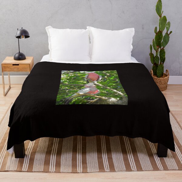 Item preview, Double Trouble Galahs designed and sold by CathsImages.
