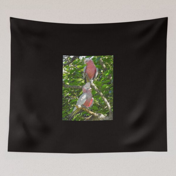 Item preview, Double Trouble Galahs designed and sold by CathsImages.