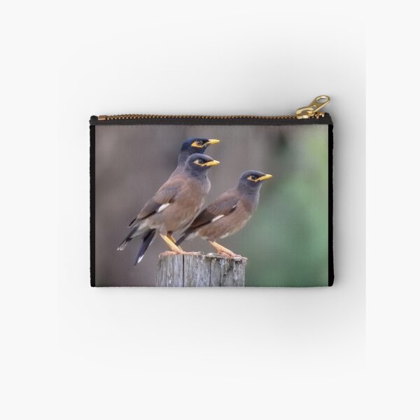 Item preview, Myna Trio designed and sold by CathsImages.