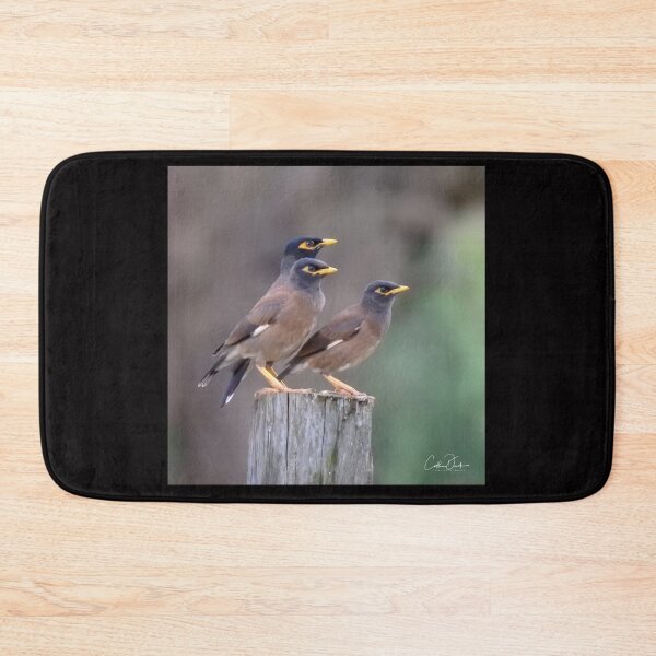 Item preview, Myna Trio designed and sold by CathsImages.