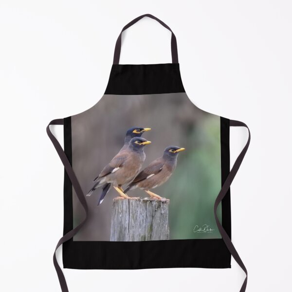 Item preview, Myna Trio designed and sold by CathsImages.