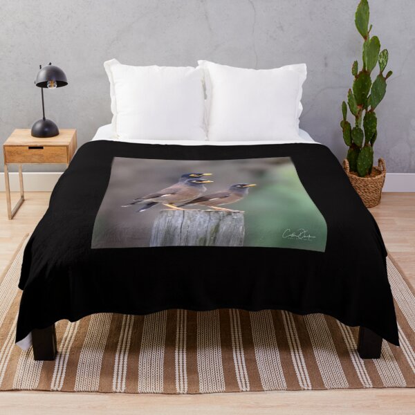 Item preview, Myna Trio designed and sold by CathsImages.