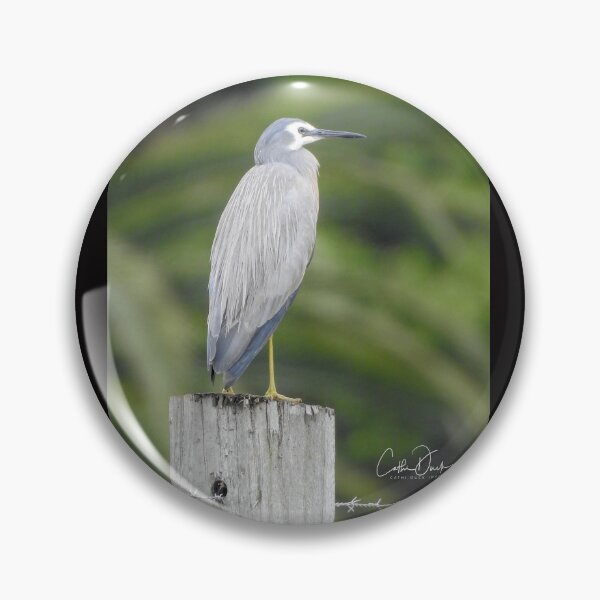 Item preview, White Faced Heron designed and sold by CathsImages.