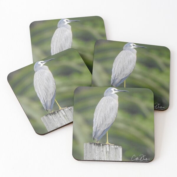 Item preview, White Faced Heron designed and sold by CathsImages.
