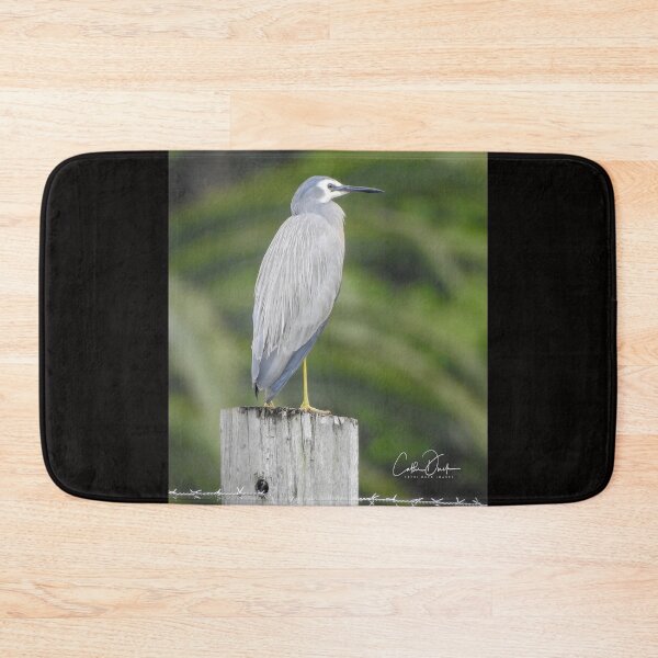 Item preview, White Faced Heron designed and sold by CathsImages.