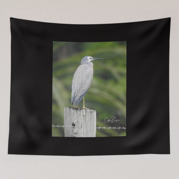 Item preview, White Faced Heron designed and sold by CathsImages.