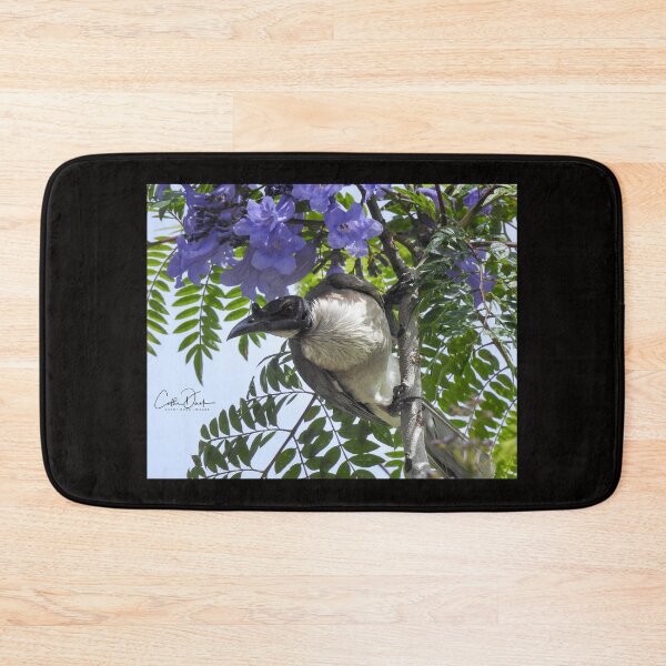 Item preview, Noisy Friarbird designed and sold by CathsImages.