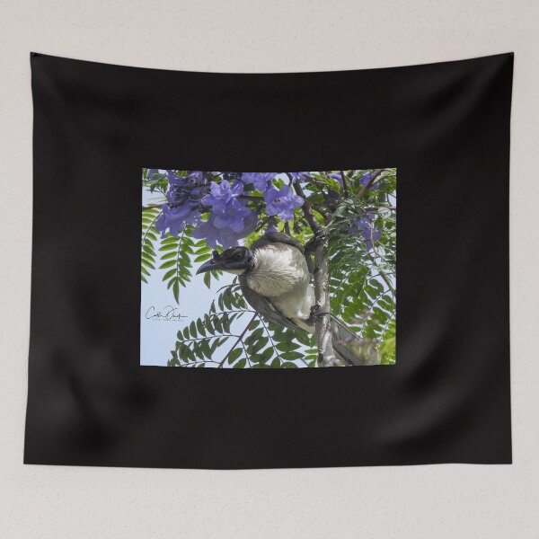 Item preview, Noisy Friarbird designed and sold by CathsImages.
